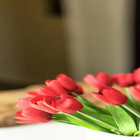 Namur Mansion By The Meus * Hastiere-par-dela