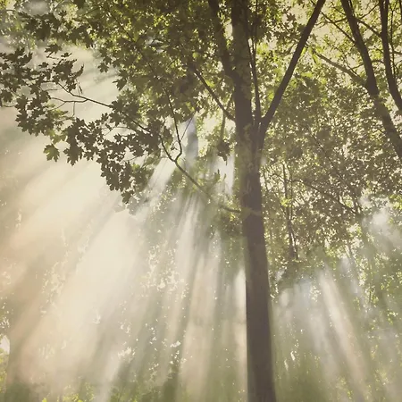 Namur Mansion By The Meus Hastiere-par-dela